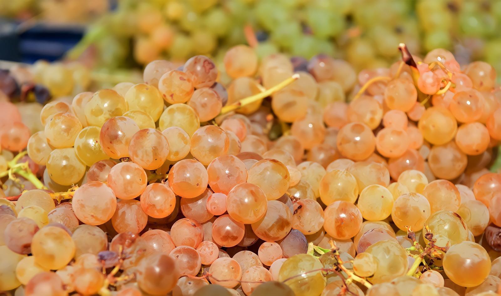 Hediyelik Özel Kutular